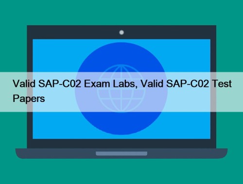 Valid SAP-C02 Exam Labs, Valid SAP-C02 Test Papers
