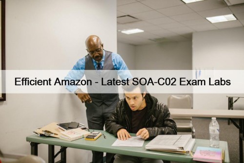 Efficient Amazon - Latest SOA-C02 Exam Labs