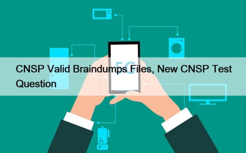 CNSP Valid Braindumps Files, New CNSP Test Question
